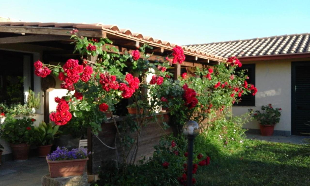 B&B Is Camminantis Nurallao Bagian luar foto